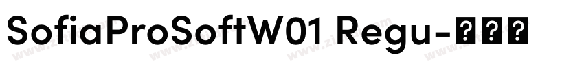 SofiaProSoftW01 Regu字体转换